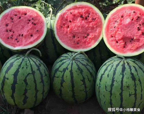 吃瓜全文免费阅读