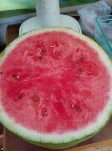 省医院吃瓜,揭秘医疗系统背后的真相