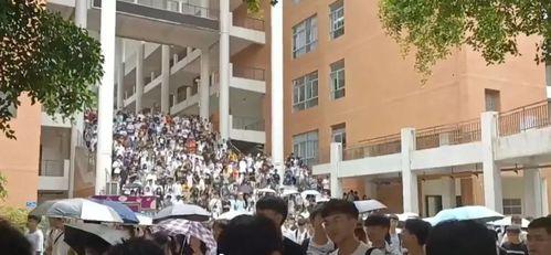 四川交通科技学校吃瓜,吃瓜群众眼中的校园生活