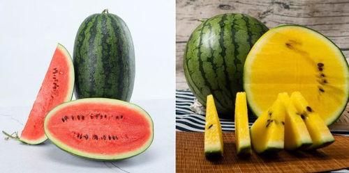 全网吃瓜蔡金发