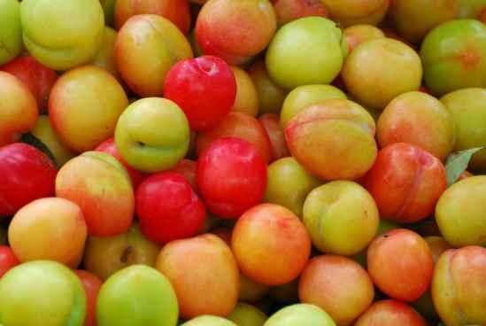 吃完李子可以吃哈密瓜吗,美味接续之旅