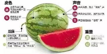 吃瓜微信 推荐,微信上的热门话题与幕后真相