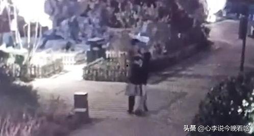 禹城吃瓜事件视频曝光,视频曝光揭示惊人真相