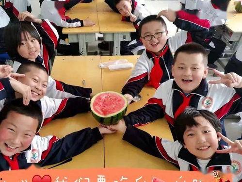 吃瓜嘉兴中学,揭秘校园生活新现象