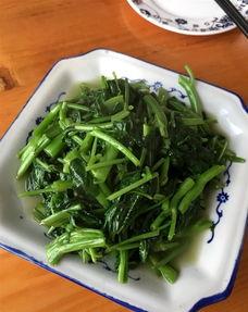 上饶玉山吃瓜,探寻夏日消暑美食——吃瓜文化之旅