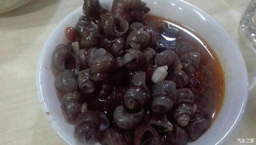 柳州市长吃瓜,助力乡村振兴新篇章