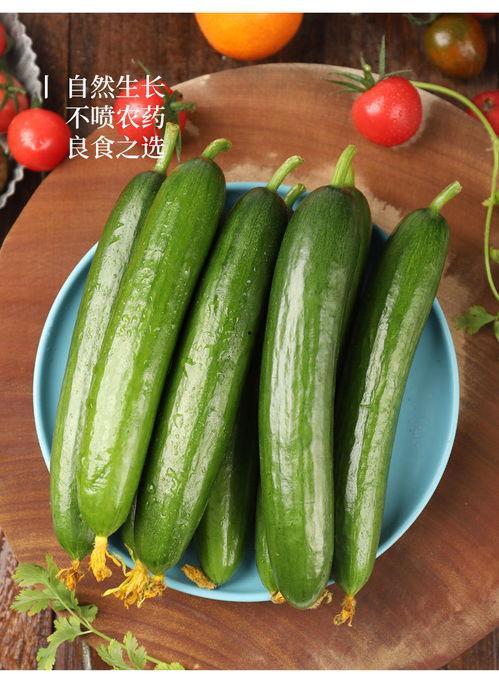 小生瓜可以怎么吃,创意烹饪方法大盘点