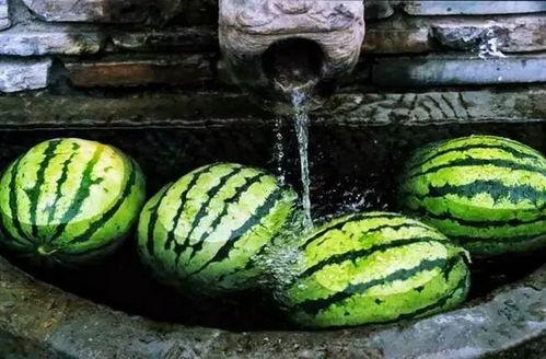 吃瓜从哪里开始,探寻娱乐圈的甜蜜与苦涩