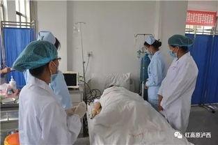 医生直播吃瓜,揭秘瓜果养生奥秘