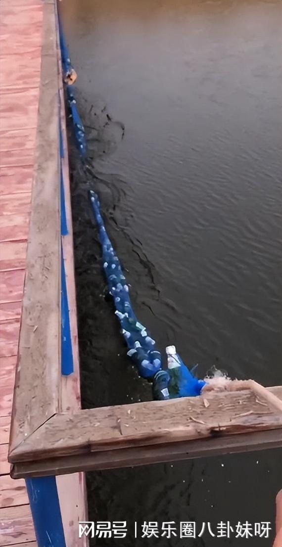 寡人吃瓜,揭秘宫廷中的闲言碎语