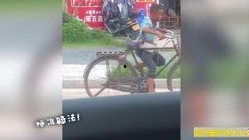 两毛钱带你吃瓜