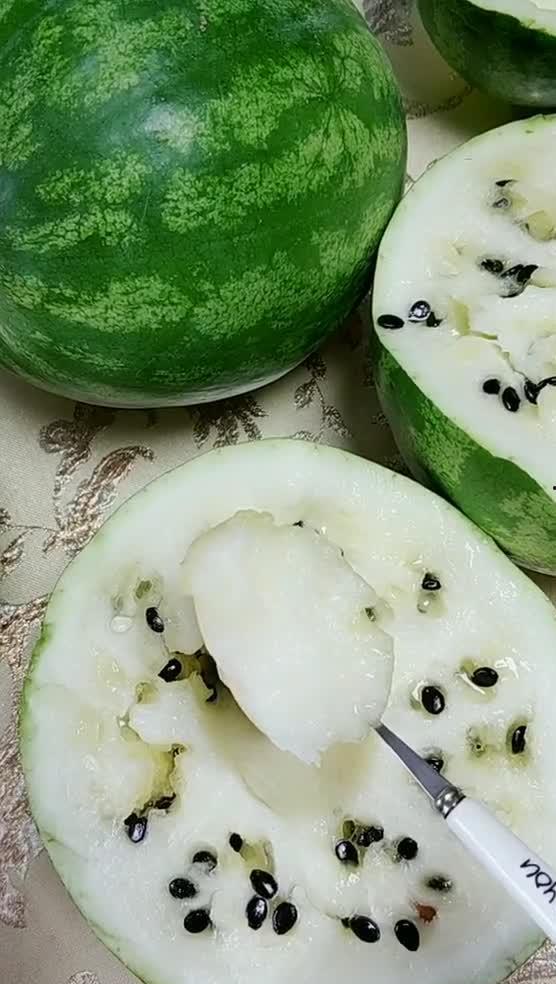 吃瓜子吃大瓜视频,揭秘吃瓜子大瓜的趣味之旅 第1张 吃瓜子吃大瓜视频,揭秘吃瓜子大瓜的趣味之旅 第1张