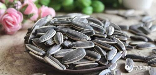 吃瓜子吃大瓜视频,揭秘吃瓜子大瓜的趣味之旅 第3张 吃瓜子吃大瓜视频,揭秘吃瓜子大瓜的趣味之旅 第3张