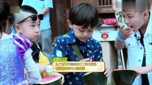 吃瓜轩轩,揭秘娱乐圈的甜蜜瓜田