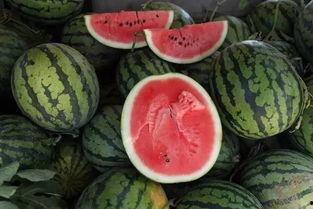 金钱的诱惑吃瓜,金钱诱惑下的吃瓜众生相