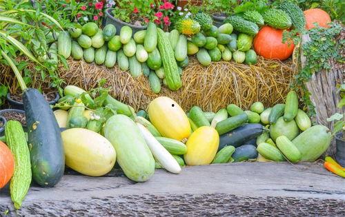 金钱的诱惑吃瓜,金钱诱惑下的吃瓜众生相  第3张