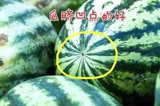 觉醒吃瓜能力,揭秘娱乐圈幕后真相