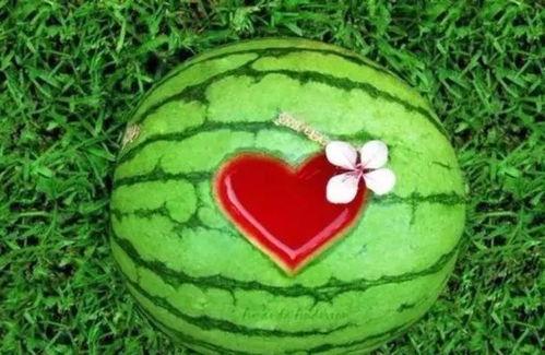 觉醒吃瓜能力,揭秘娱乐圈幕后真相  第3张