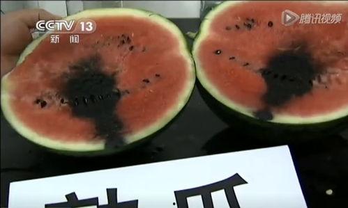 吃瓜短视频在线吃瓜  第3张