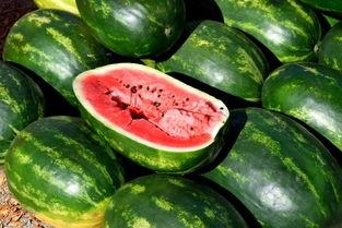 石佛吃瓜,揭秘篮球场上的“瓜王”传奇  第3张