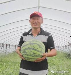 公路旁吃瓜  第3张