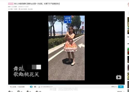 b站吃瓜之歌,揭秘网络热点的狂欢与反思  第2张